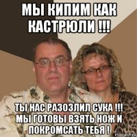 мы кипим как кастрюли !!! ты нас разозлил сука !!! мы готовы взять нож и покромсать тебя !