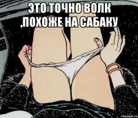 это точно волк ,похоже на сабаку 