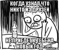 когда узнал что никто из друзей не приедет к тебе на новый год