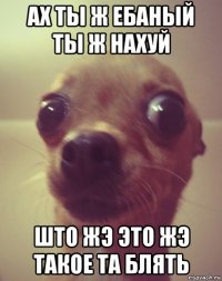 ах ты ж ебаный ты ж нахуй што жэ это жэ такое та блять