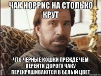 чак норрис на столько крут что черные кошки прежде чем перейти дорогу чаку перекрашиваются в белый цвет