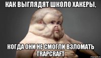 как выглядят школо хакеры, когда они не смогли взломать trapcraft