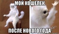 мой кошелек после нового года