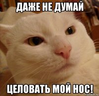 даже не думай целовать мой нос!