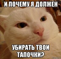 и почему я должен убирать твои тапочки?