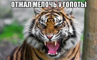 отжал мелочь у гопоты 