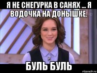 я не снегурка в санях ... я водочка на донышке. буль буль