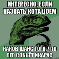 интересно, если назвать кота цоем каков шанс того, что его собьёт икарус