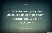 Освежающие прогулки и домашка помогают спасти прогнивший мозг от разрушения