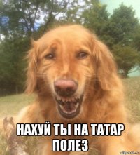  нахуй ты на татар полез