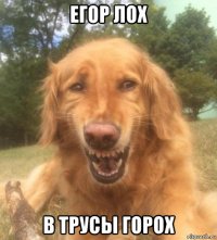 егор лох в трусы горох