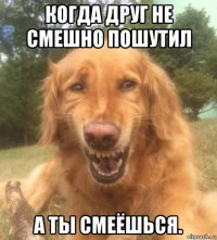 когда друг не смешно пошутил а ты смеёшься.