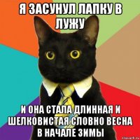 я засунул лапку в лужу и она стала длинная и шелковистая словно весна в начале зимы