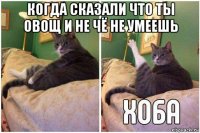 когда сказали что ты овощ и не чё не умеешь 