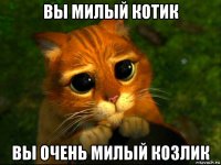 вы милый котик вы очень милый козлик