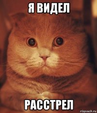 я видел расстрел