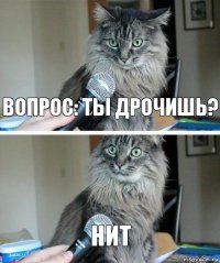 ВОПРОС: ТЫ ДРОЧИШЬ? НИТ