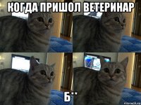 когда пришол ветеринар б**