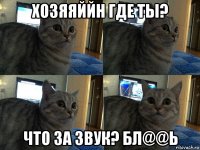 хозяяййн где ты? что за звук? бл@@ь