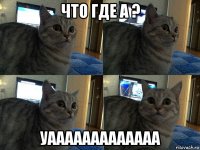 что где а ? уааааааааааааа