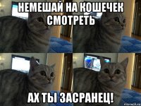 немешай на кошечек смотреть ах ты засранец!