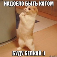 надоело быть котом буду белкой :)