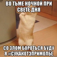 во тьме ночной при свете дня со злом бороться буду я #cукакотэпримолбе