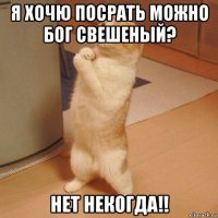 я хочю посрать можно бог свешеный? нет некогда!!