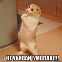  - не убивай, умоляю!!!