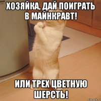 хозяйка, дай поиграть в майнкравт! или трех цветную шерсть!