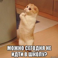  можно сегодня не идти в школу?