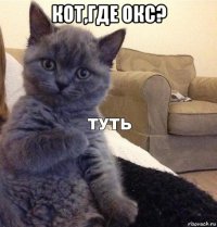 кот,где окс? 