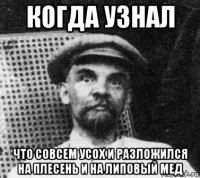 когда узнал что совсем усох и разложился на плесень и на липовый мед