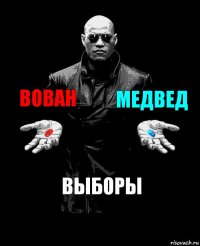 Вован Медвед Выборы