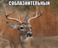 соблазнительный 