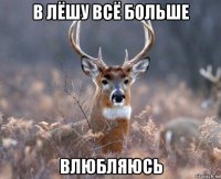 в лёшу всё больше влюбляюсь