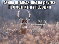 арина не такая, она на других не смотрит, я у неё один 