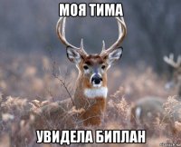 моя тима увидела биплан