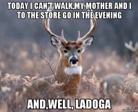 today i can't walk,my mother and i to the store go in the evening and,well, ladoga