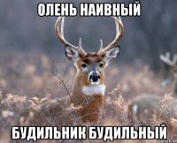 олень наивный будильник будильный