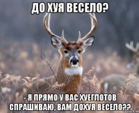 до хуя весело? - я прямо у вас хуеглотов спрашиваю, вам дохуя весело??