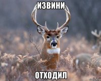 извини отходил