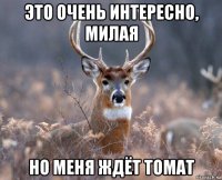 это очень интересно, милая но меня ждёт томат