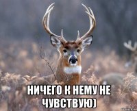  ничего к нему не чувствую)