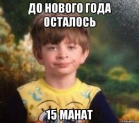 до нового года осталось 15 манат