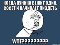 когда пуника бежит один, сосет и начинает пиздеть wtf?????????