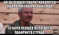 когда пекшев говорит иди вперед иди потом говорит иди сюда то коля пекшев испугался лабиринта страха