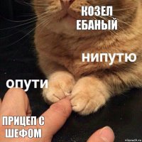 Козел ебаный Прицеп с шефом