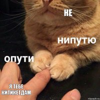 не я тебе китикетдам