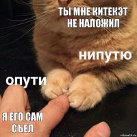 Ты мне китекэт не наложил Я его сам съел